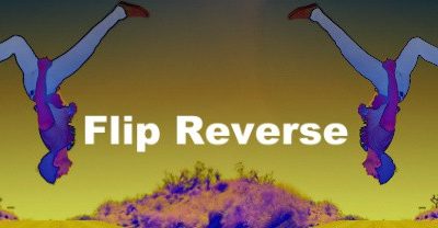 Flip-Reverse